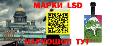 гашик Донской